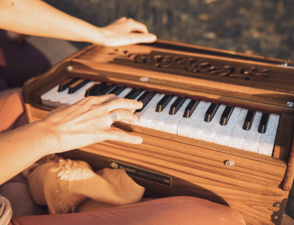 Harmonium Kauf Tipps worauf achten Hände spielen Harmonium Tasten