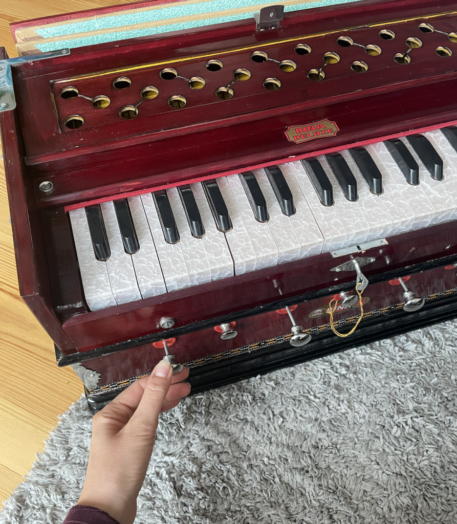 Harmonium spielen lernen Register öffnen Bina Deluxe