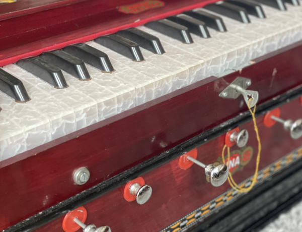 Harmonium spielen lernen Ratgeber Anfänger Guide erste Schritte